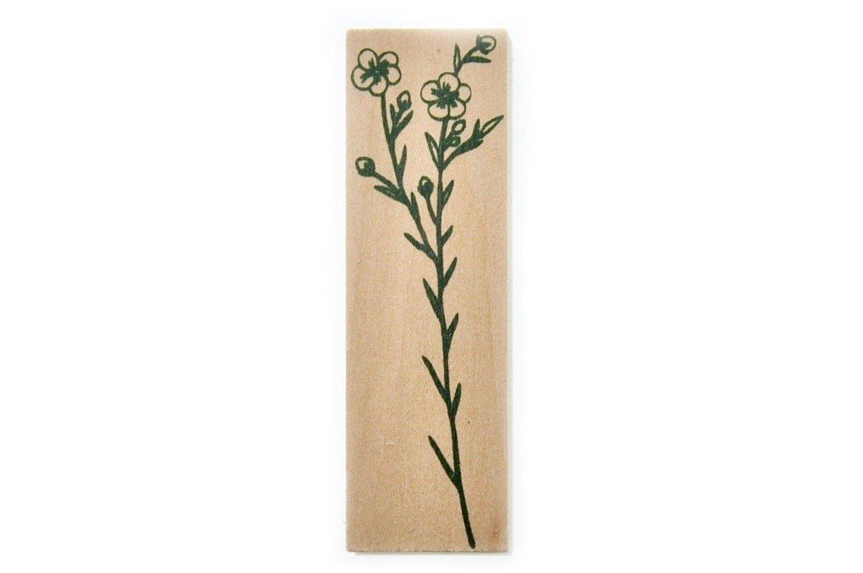 Botanical Rubber Stamp | F - Backtozero B20 - botanic, Botanical, floral, Flower, Nature, Plant, rubber stamp, wax flower