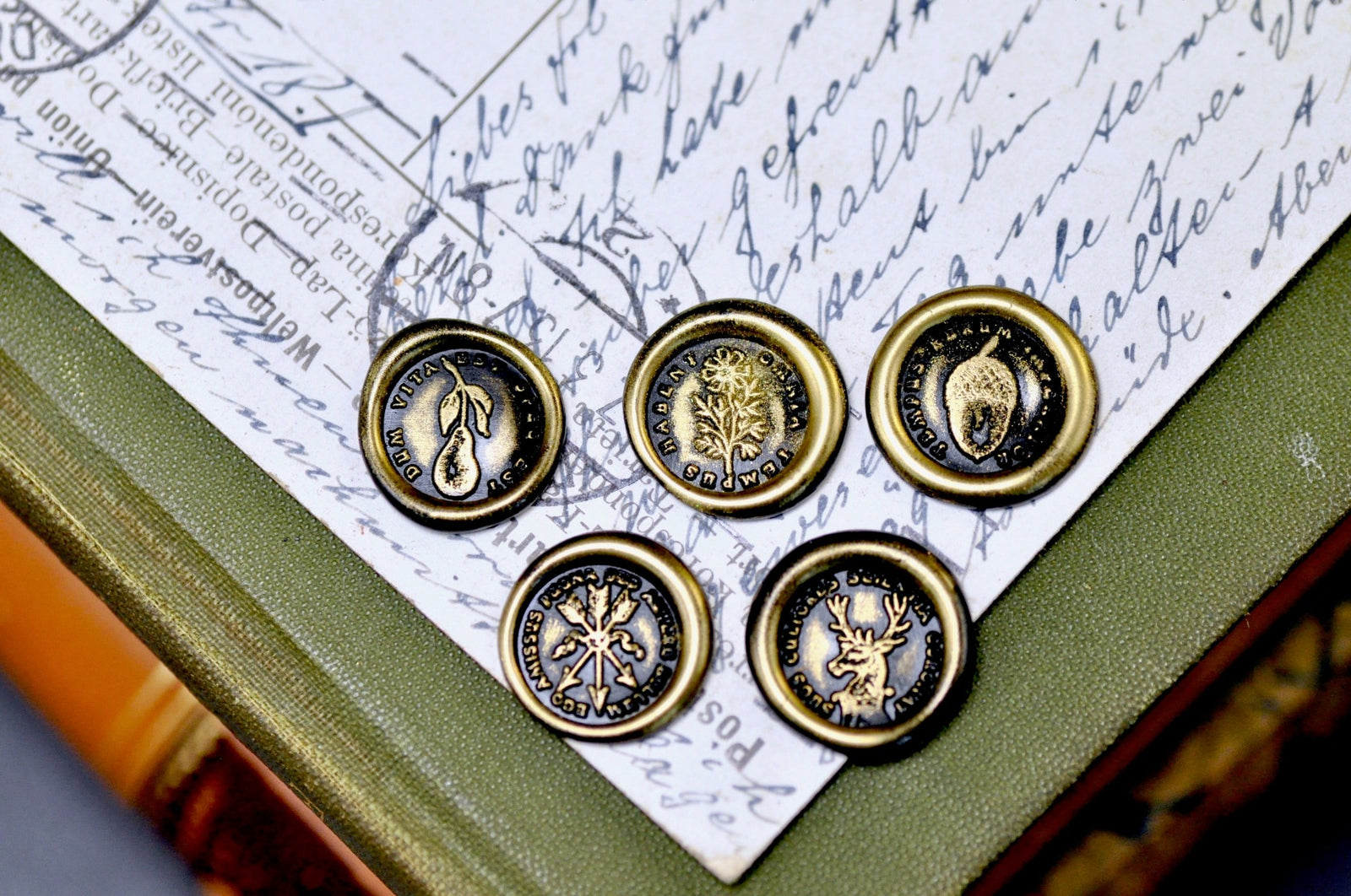 OOAK Latin Motto Cube Wax Seal | Kiwi Stone | Time will Tell - Backtozero B20 - acorn, antique, antique inspired, arrows, cube, dedication, hope, latin, latin motto, Message, motto, natural stone, newarrivals, Retro, stone, time