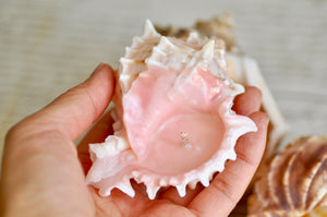 OOAK Seashell Shimmery Soy Candle | Set of 4