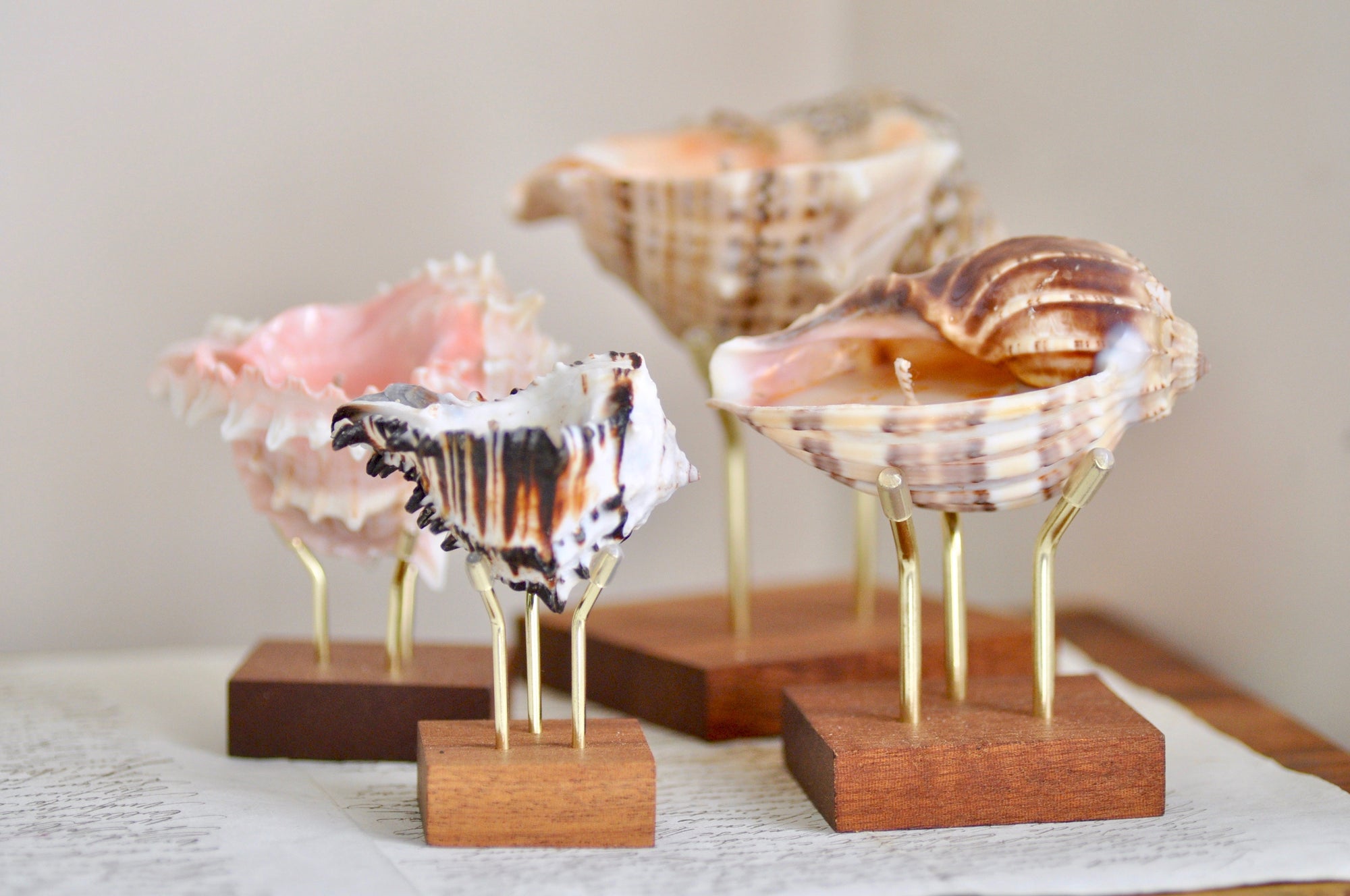 OOAK Seashell Shimmery Soy Candle | Set of 4