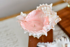 OOAK Seashell Shimmery Soy Candle | S | Rose Murex