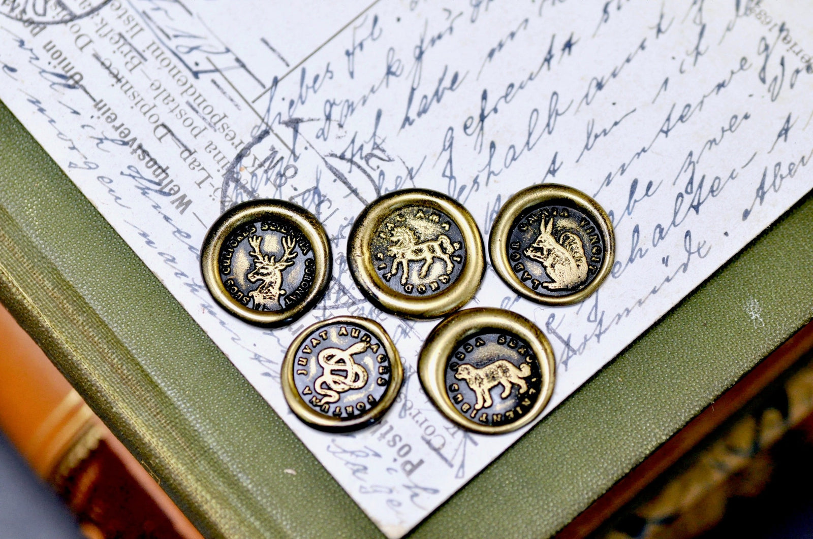 OOAK Latin Motto Cube Wax Seal | Picture Jasper | Follow Your Heart - Backtozero B20 - antique, antique inspired, courage, cube, dedication, Deer, determination, Horse, initiative, latin, latin motto, Message, motto, natural stone, newarrivals, passion, Retro, snake, Squirrel, stone