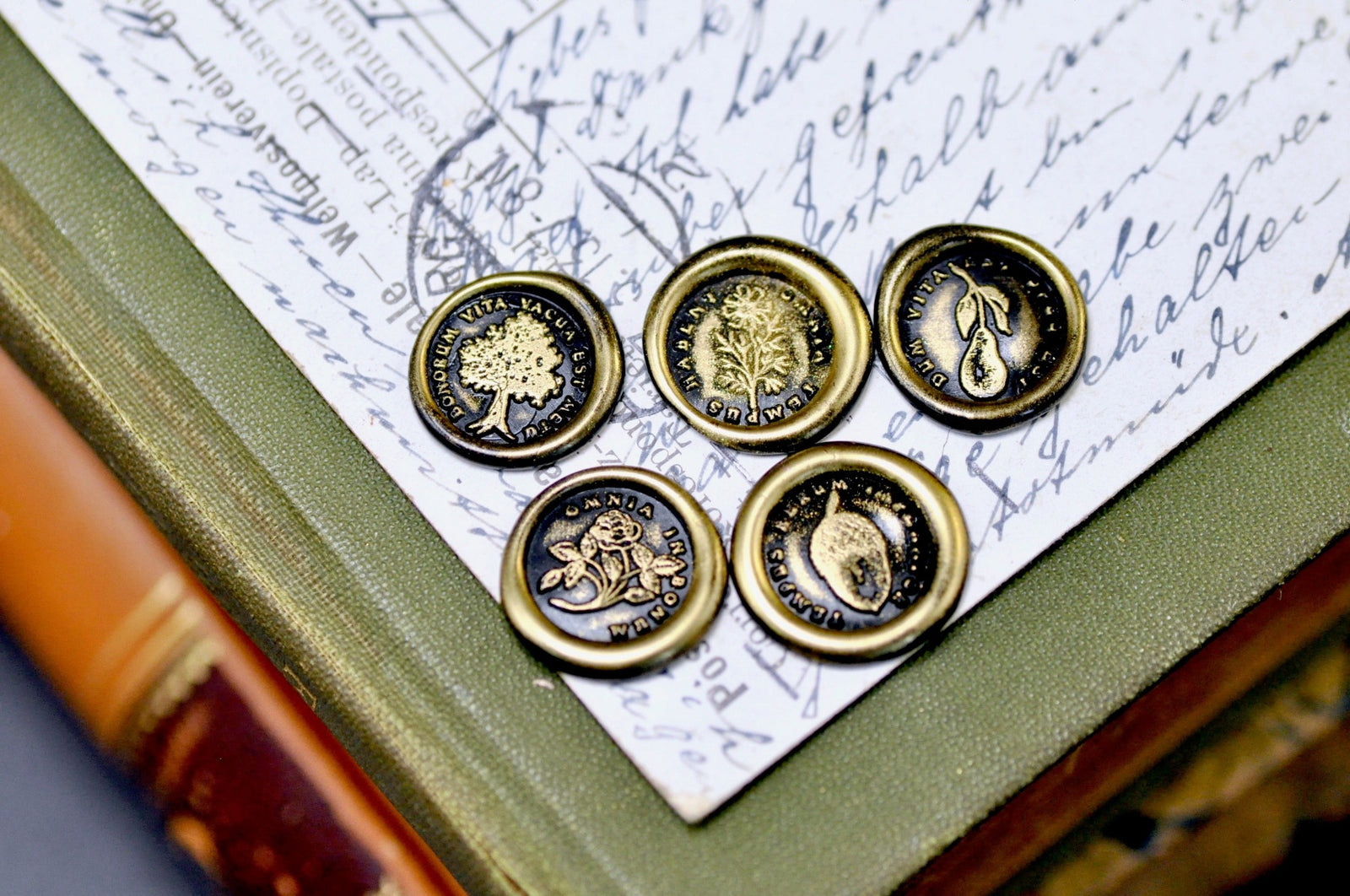 OOAK Latin Motto Cube Wax Seal | Moss Agate | Tomorrow Begins Today - Backtozero B20 - acorn, antique, antique inspired, courage, cube, daisy, hope, latin, latin motto, Message, motto, natural stone, newarrivals, patience, pear, positive, positivity, Retro, rose, stone, time, Tree