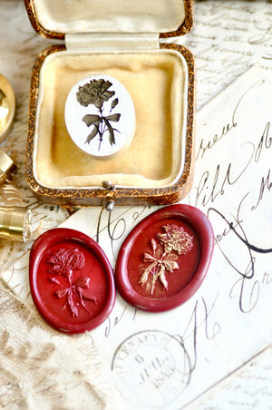 Floral Whispers: In Lieu of Speech Wax Seal Stamp | Carnation | Tender Fidelity (Pre-Order / Ship in March)