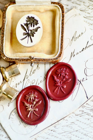 Floral Whispers: In Lieu of Speech Wax Seal Stamp | Daisy | Begin (Pre-Order / Ship in March)