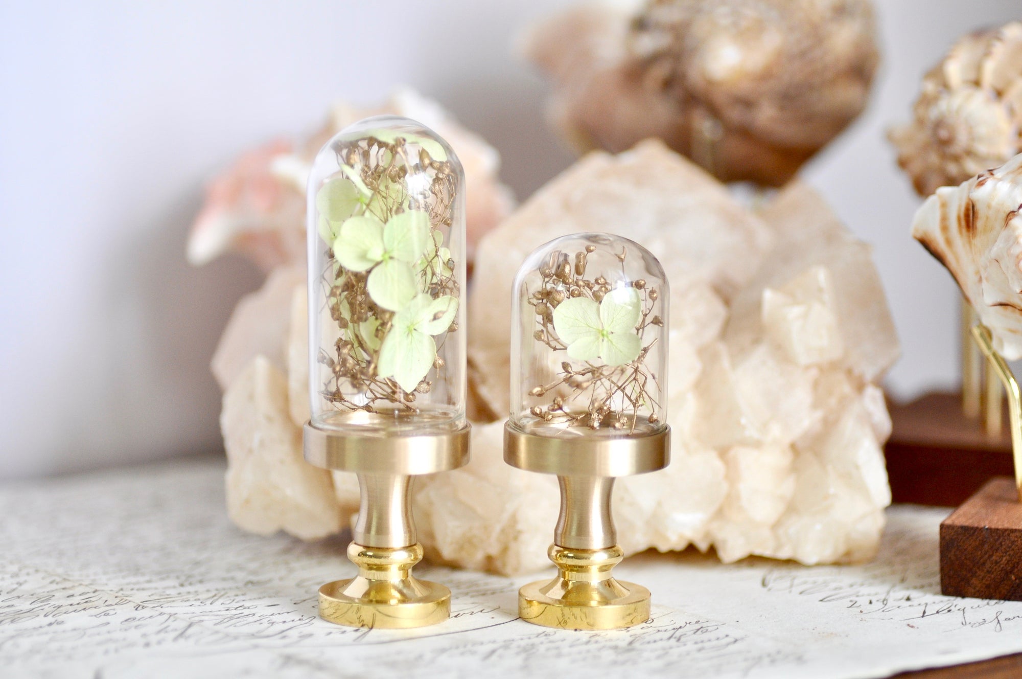 OOAK Dried Hydrangea Glass Dome Wax Seal Handle | Pale Green