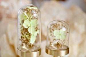 OOAK Dried Hydrangea Glass Dome Wax Seal Handle | Pale Green