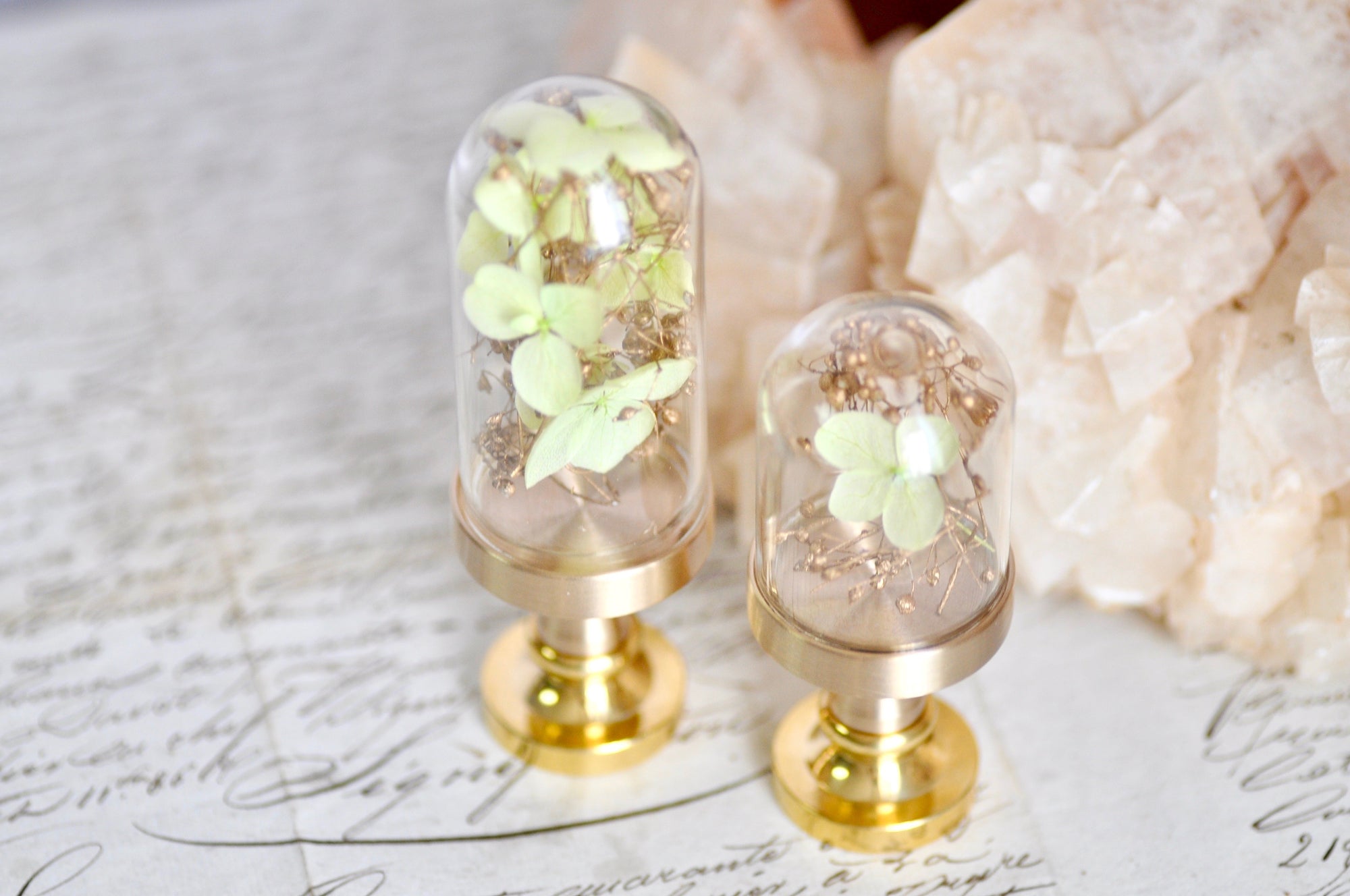 OOAK Dried Hydrangea Glass Dome Wax Seal Handle | Pale Green