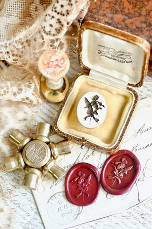 Floral Whispers: In Lieu of Speech Wax Seal Stamp | Lady Slipper Orchid | Rare but Strong (Pre-Order / Ship in March)