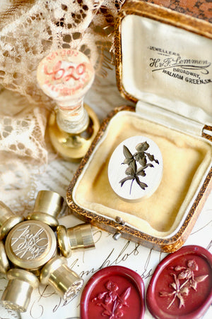 Floral Whispers: In Lieu of Speech Wax Seal Stamp | Lady Slipper Orchid | Rare but Strong (Pre-Order / Ship in March)