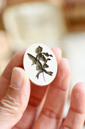 Floral Whispers: In Lieu of Speech Wax Seal Stamp | Lady Slipper Orchid | Rare but Strong (Pre-Order / Ship in March)