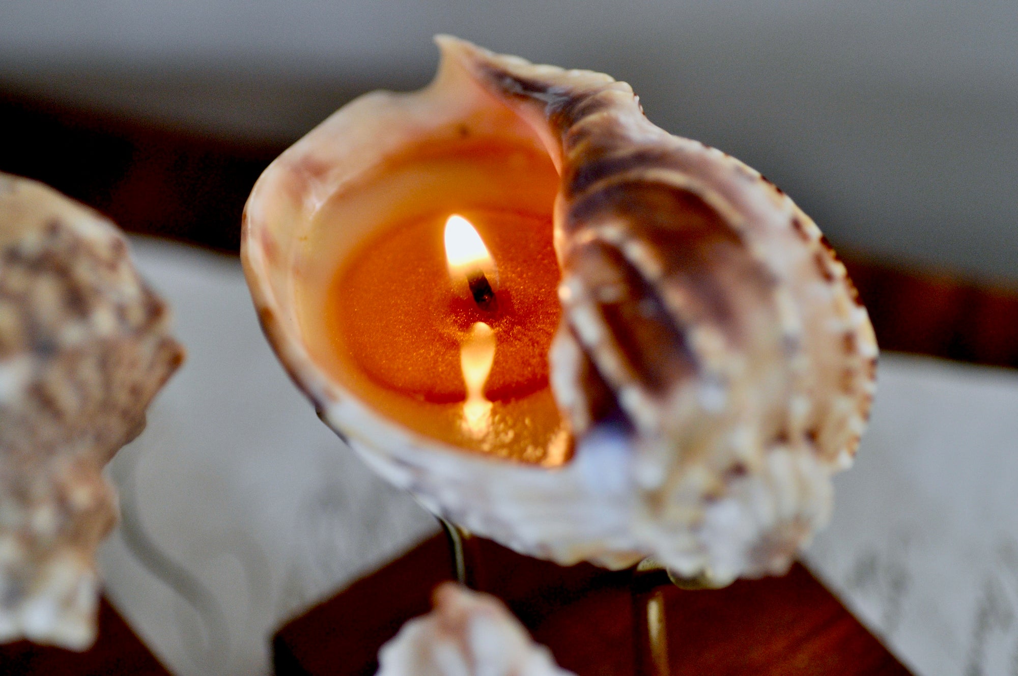 OOAK Seashell Shimmery Soy Candle | M | Harpa Major