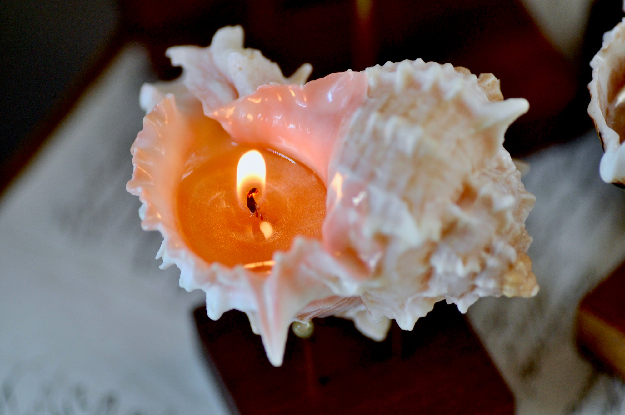 OOAK Seashell Shimmery Soy Candle | Set of 4