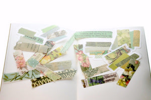 Translucent Stickers Set | Washi Tape B - Backtozero B20 - floral, Flower, Green, sticker, translucent, washi
