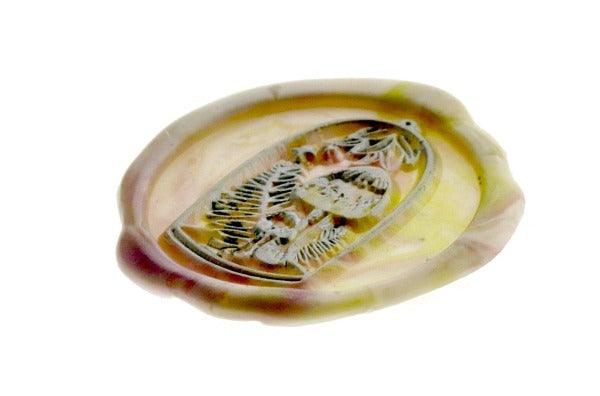 Terrarium Mushroom Wax Seal Stamp Designed by Petra - Backtozero B20 - 2 layer, 2 layers, 2 level, 2layer, 2layers, 2level, 2levels, Botanical, collaboration, marble, marble wax, mixed wax, mushroom, Nature, Signature, signaturehandle, terrarium