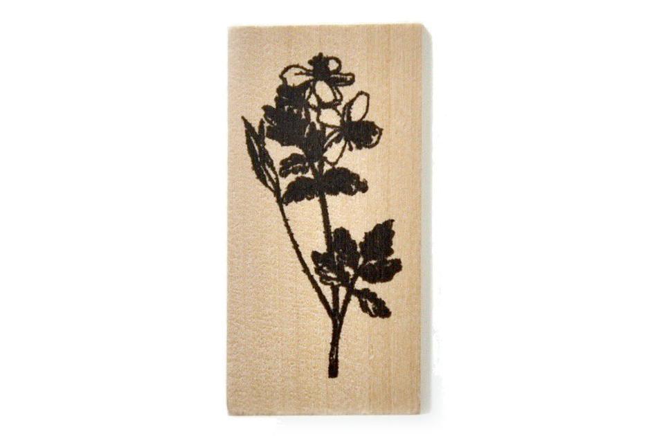 Botanical Rubber Stamp | N - Backtozero B20 - Botanical, floral, Flower, flowers, Nature, Plant, plants, rubber stamp