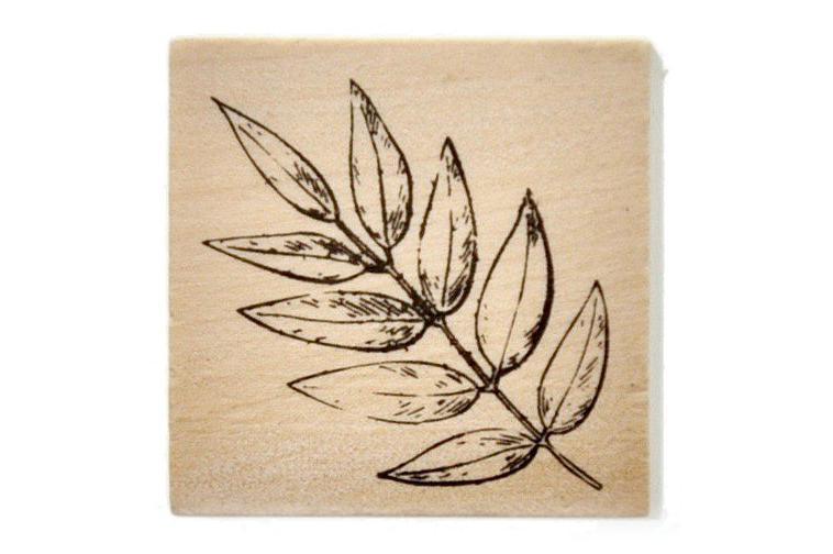 Botanical Rubber Stamp | O - Backtozero B20 - Botanical, Nature, Plant, plants, rubber stamp
