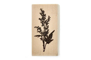 Botanical Rubber Stamp | M - Backtozero B20 - Botanical, floral, Flower, flowers, Nature, Plant, plants, rubber stamp