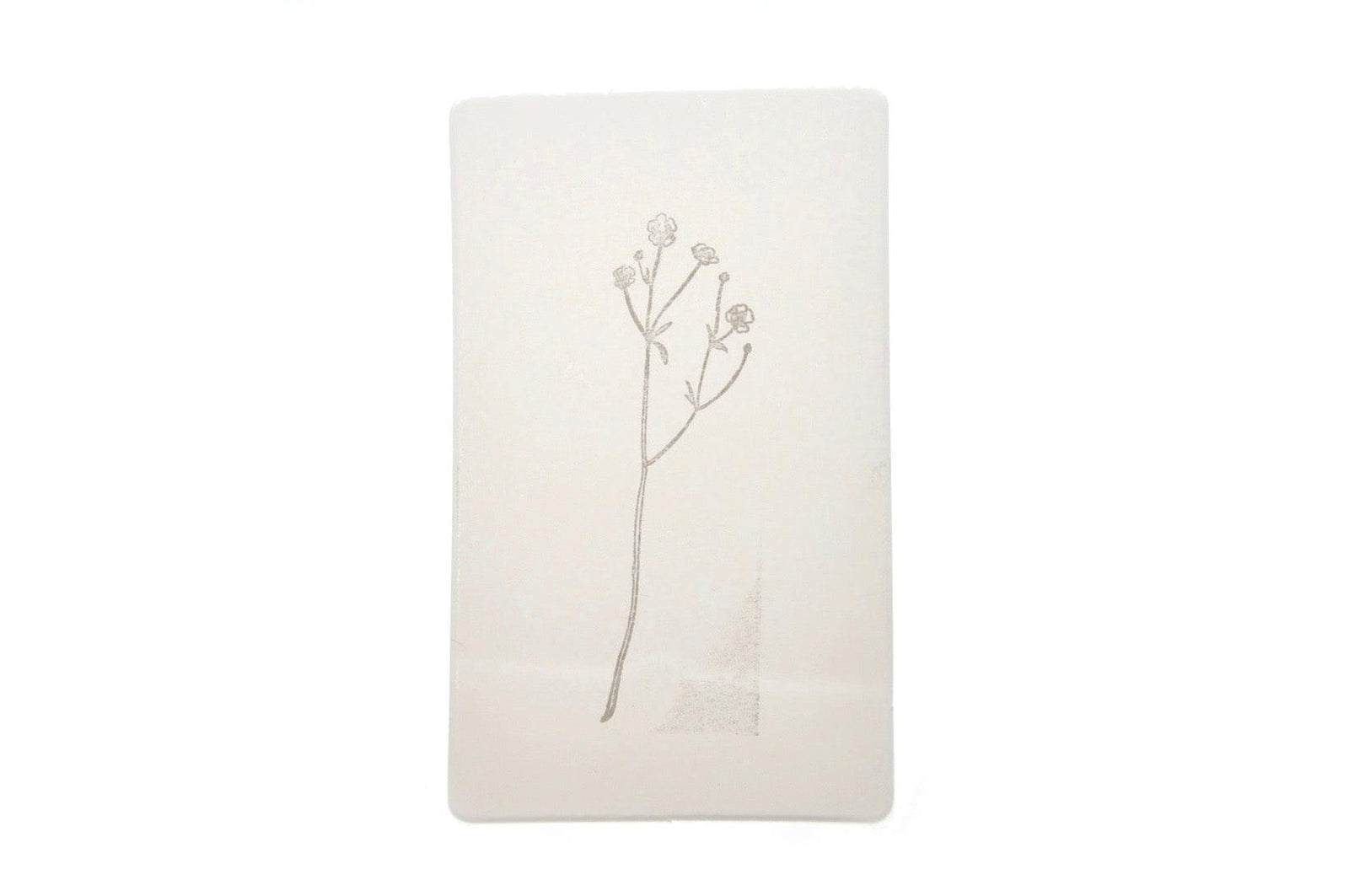 Botanical Rubber Stamp | A - Backtozero B20 - baby's breath, botanic, Botanical, floral, Flower, Nature, Plant, rubber stamp