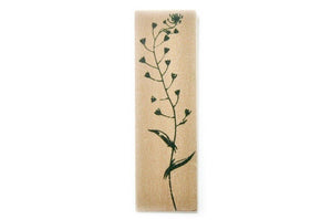 Botanical Rubber Stamp | G - Backtozero B20 - botanic, Botanical, floral, Flower, Nature, Plant, rubber stamp