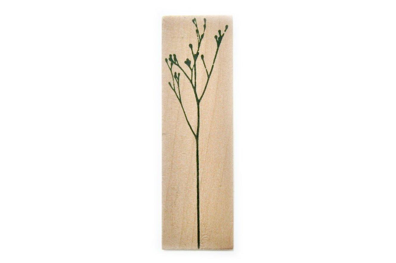 Botanical Rubber Stamp | B - Backtozero B20 - botanic, Botanical, Nature, Plant, rubber stamp