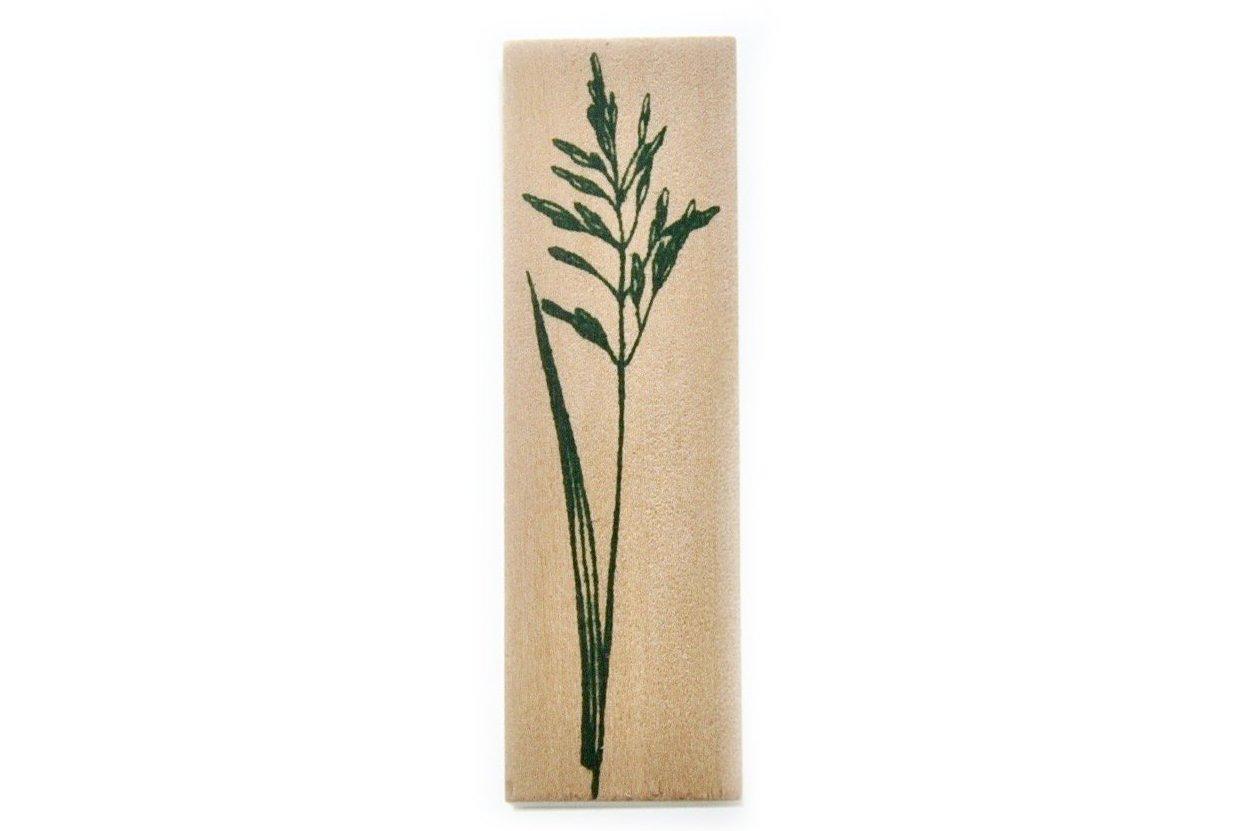 Botanical Rubber Stamp | C - Backtozero B20 - botanic, Botanical, Nature, Plant, rubber stamp