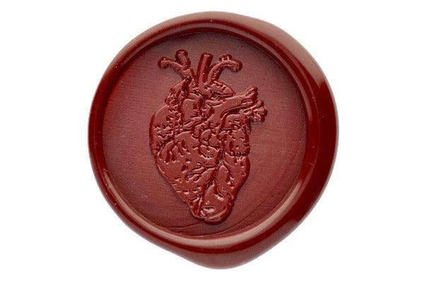 Anatomical Heart Wax Seal Stamp - Backtozero B20 - deep red, genericlonghandle, Heart, medical, organ