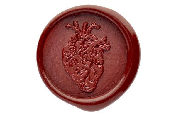 Anatomical heart Wax Seal Stamp