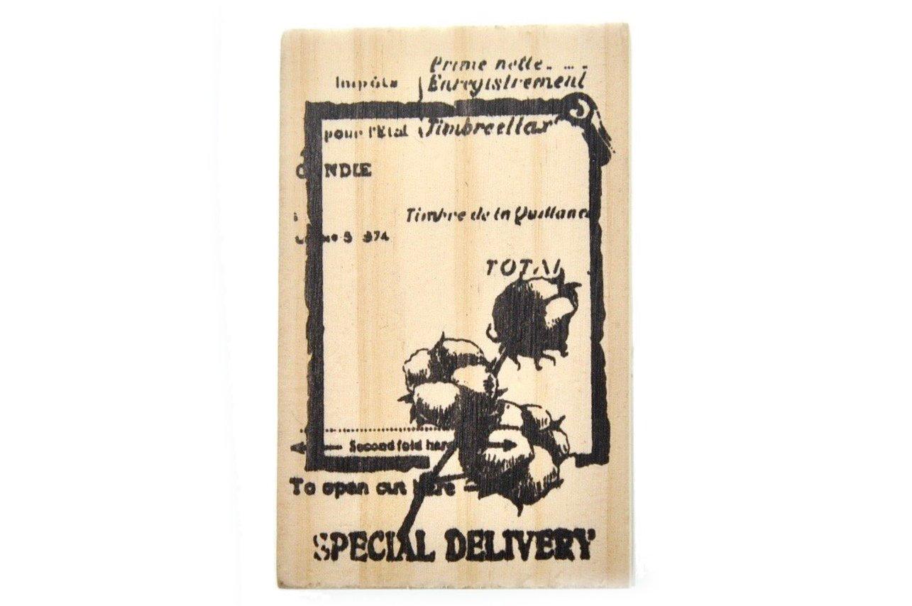 Nature Specimen Rubber Stamp | G - Backtozero B20 - Botanical, cotton, Nature, Plant, plants, texture
