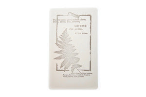 Nature Specimen Rubber Stamp | E - Backtozero B20 - Botanical, fern, Leaf, Leafs, Leaves, Nature, rubber stamp, texture