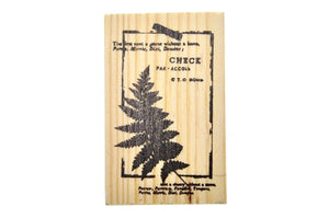 Nature Specimen Rubber Stamp | E - Backtozero B20 - Botanical, fern, Leaf, Leafs, Leaves, Nature, rubber stamp, texture