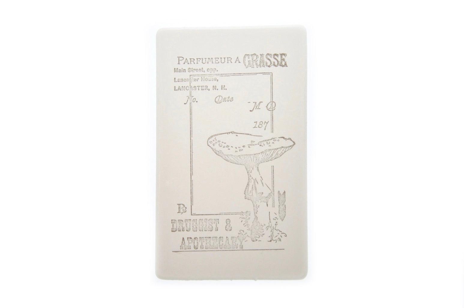 Nature Specimen Rubber Stamp | D - Backtozero B20 - Botanical, mushroom, Nature, rubber stamp, texture