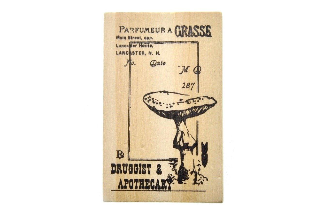 Nature Specimen Rubber Stamp | D - Backtozero B20 - Botanical, mushroom, Nature, rubber stamp, texture