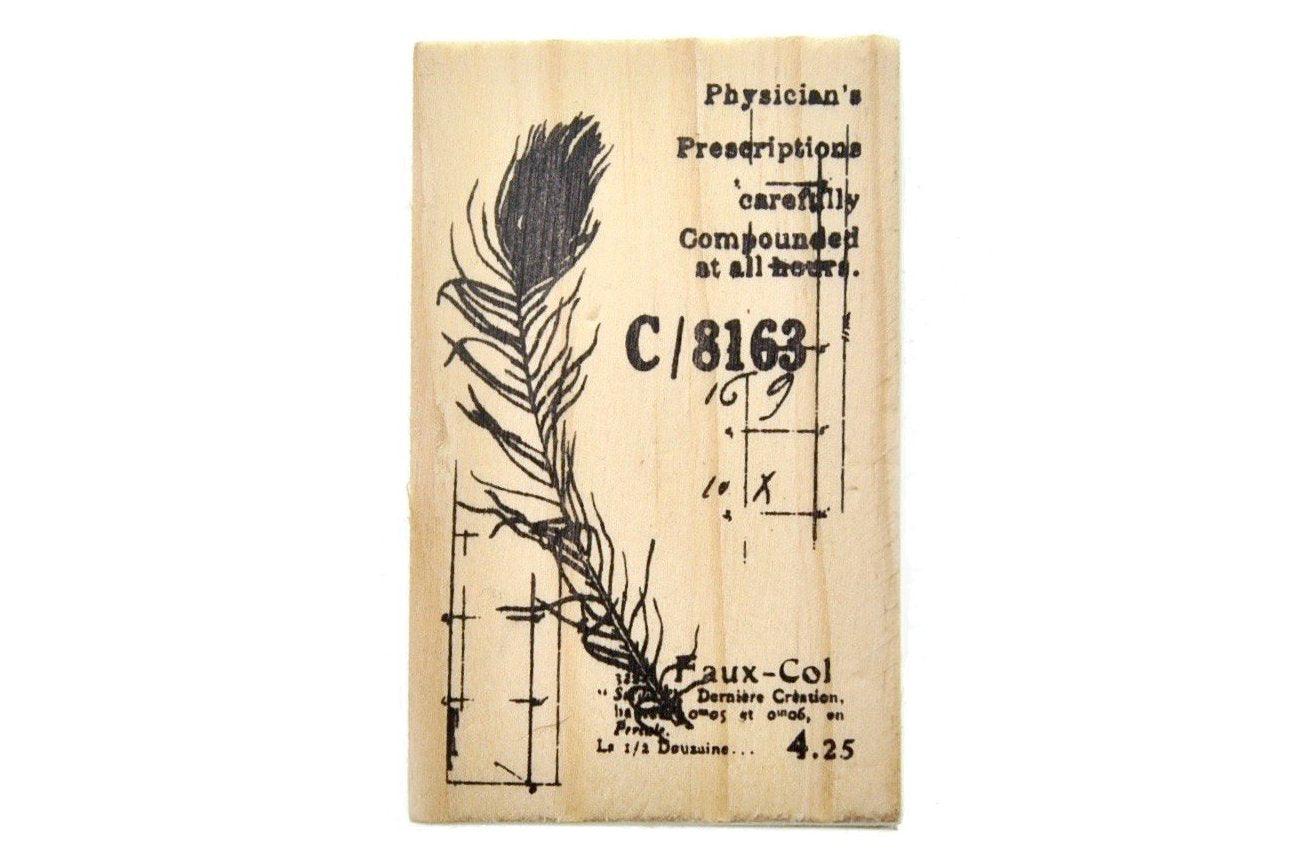Nature Specimen Rubber Stamp | C - Backtozero B20 - Botanical, feather, Nature, peacock, rubber stamp, texture