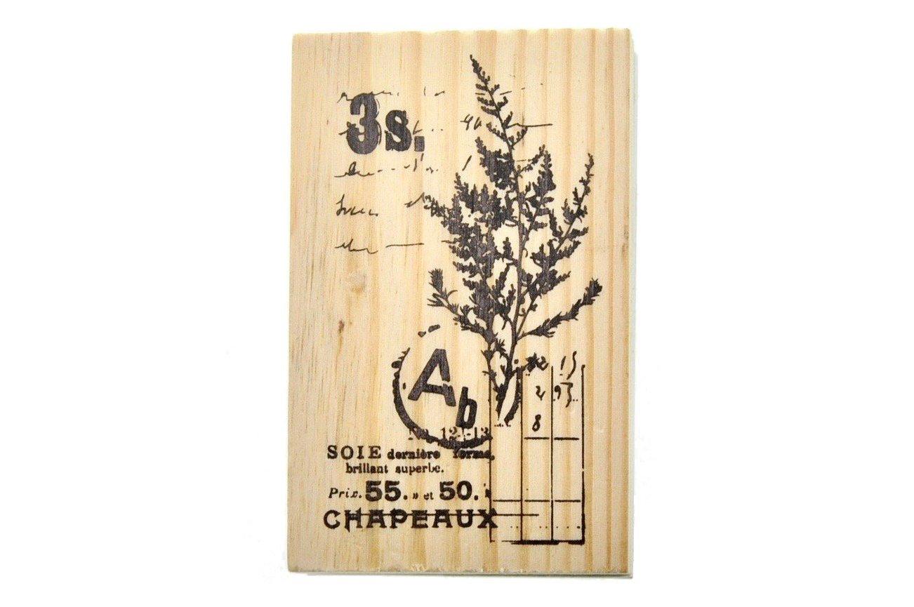 Nature Specimen Rubber Stamp | A - Backtozero B20 - Botanical, Leaf, Leafs, Leaves, Nature, Plant, plants, rubber stamp, texture