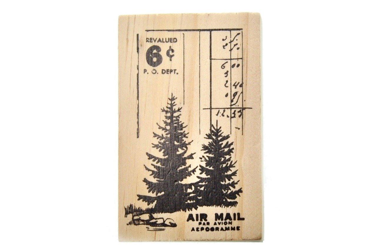 Nature Specimen Rubber Stamp | B - Backtozero B20 - Botanical, Nature, pine tree, rubber stamp, texture, Tree